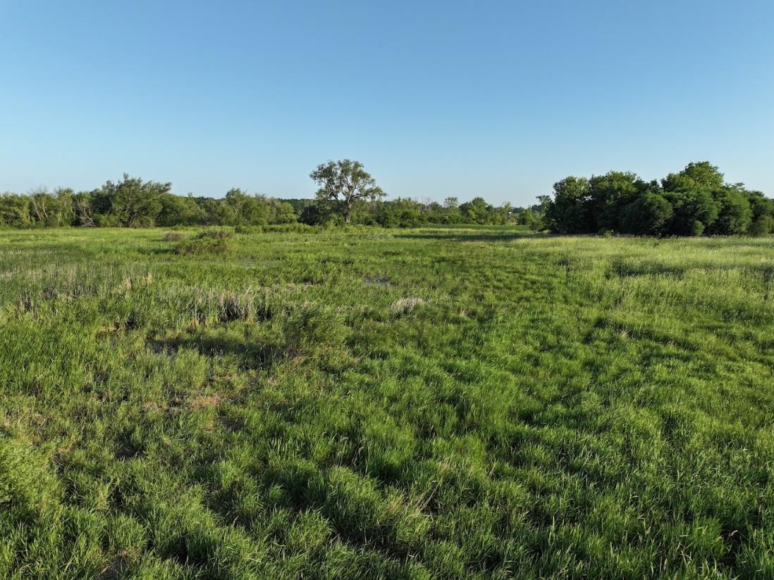 80 M/l Acres Jordan Road Waterloo, WI 53594 - Photo 29 of 85