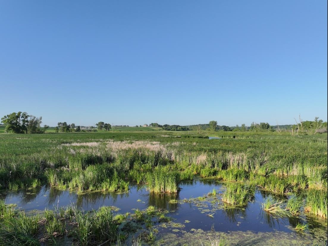 80 M/l Acres Jordan Road Waterloo, WI 53594 - Photo 34 of 85