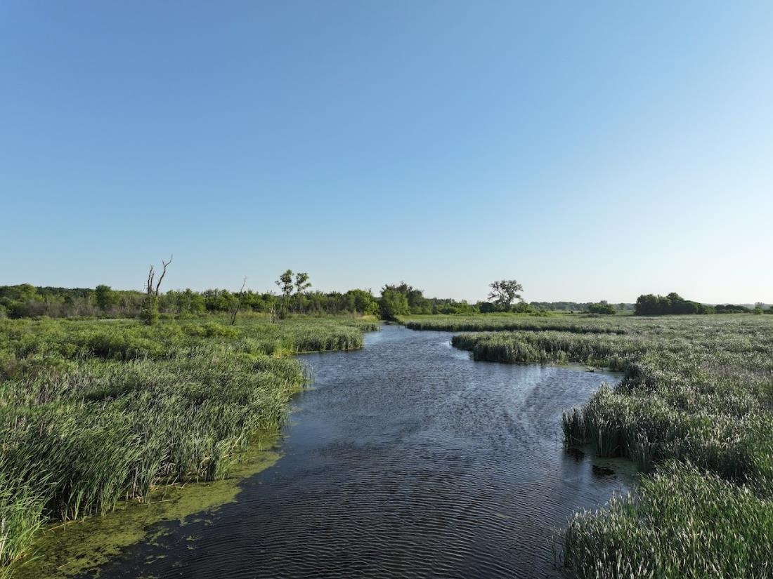 80 M/l Acres Jordan Road Waterloo, WI 53594 - Photo 36 of 85