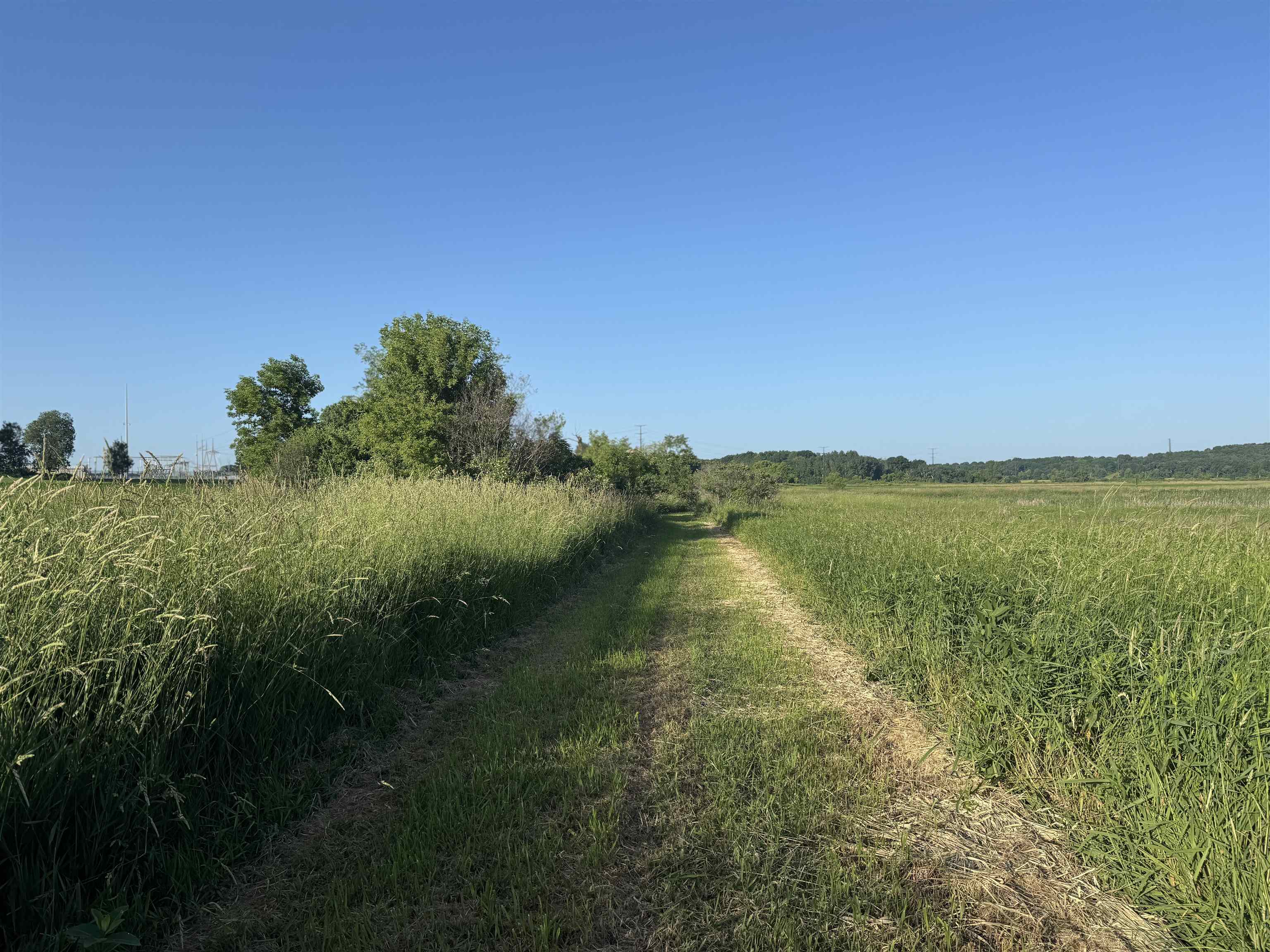 80 M/l Acres Jordan Road Waterloo, WI 53594 - Photo 53 of 85