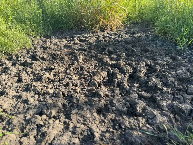 $500,000 | 80 M/l Acres Jordan Road, Waterloo, WI 53594