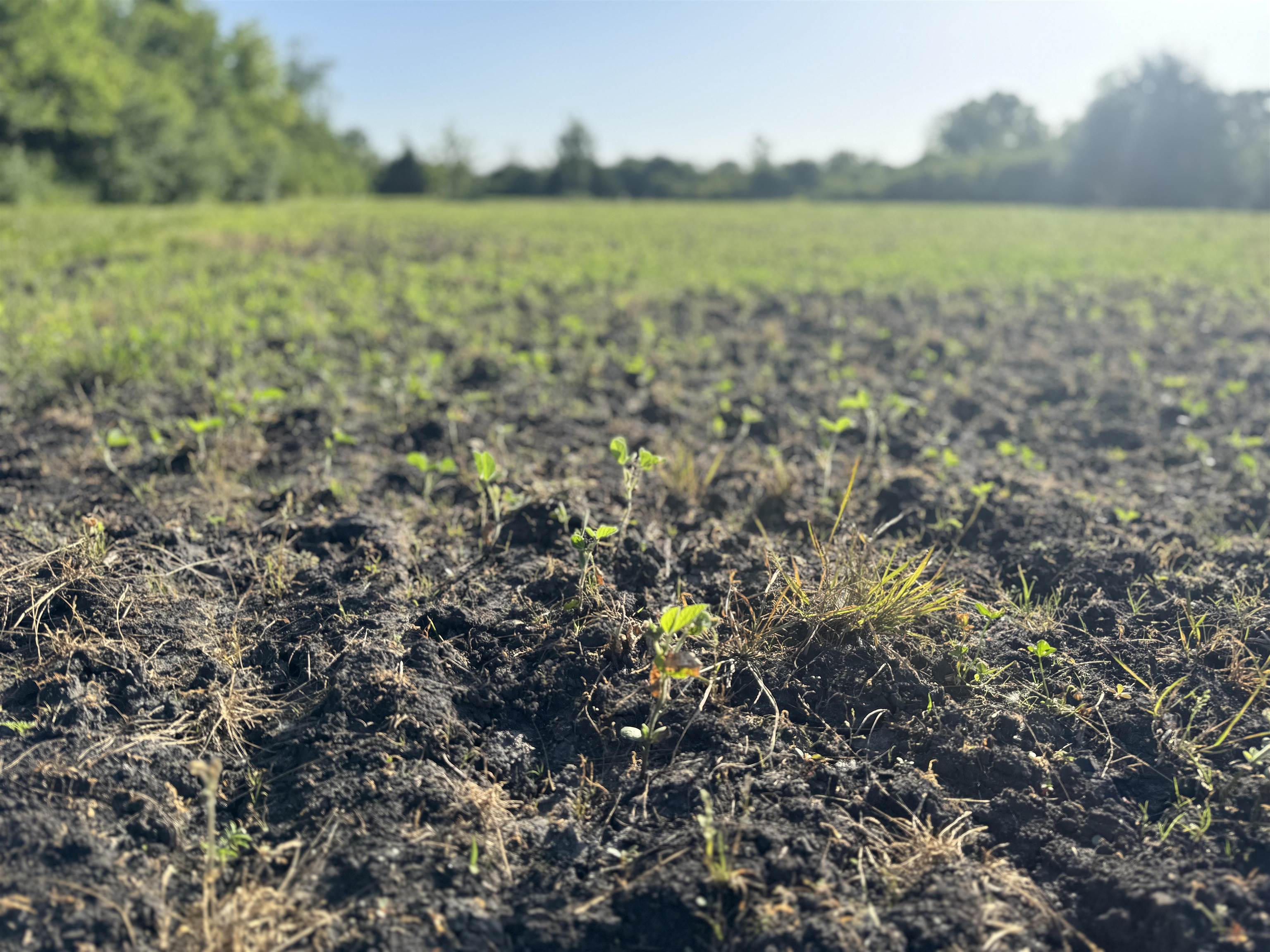 80 M/l Acres Jordan Road Waterloo, WI 53594 - Photo 58 of 85