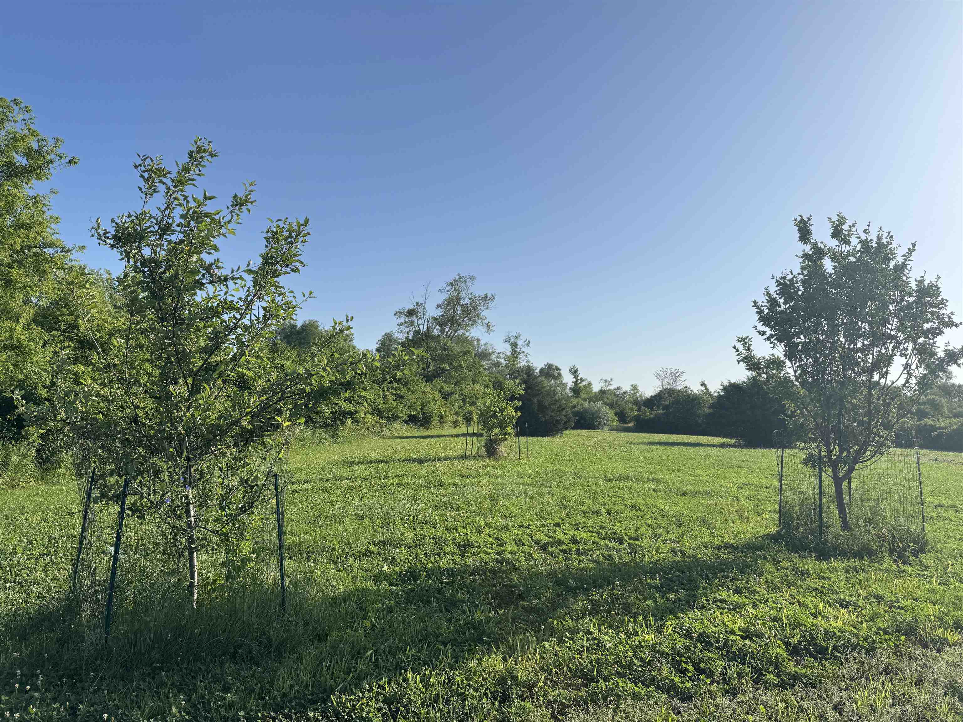 80 M/l Acres Jordan Road Waterloo, WI 53594 - Photo 59 of 85