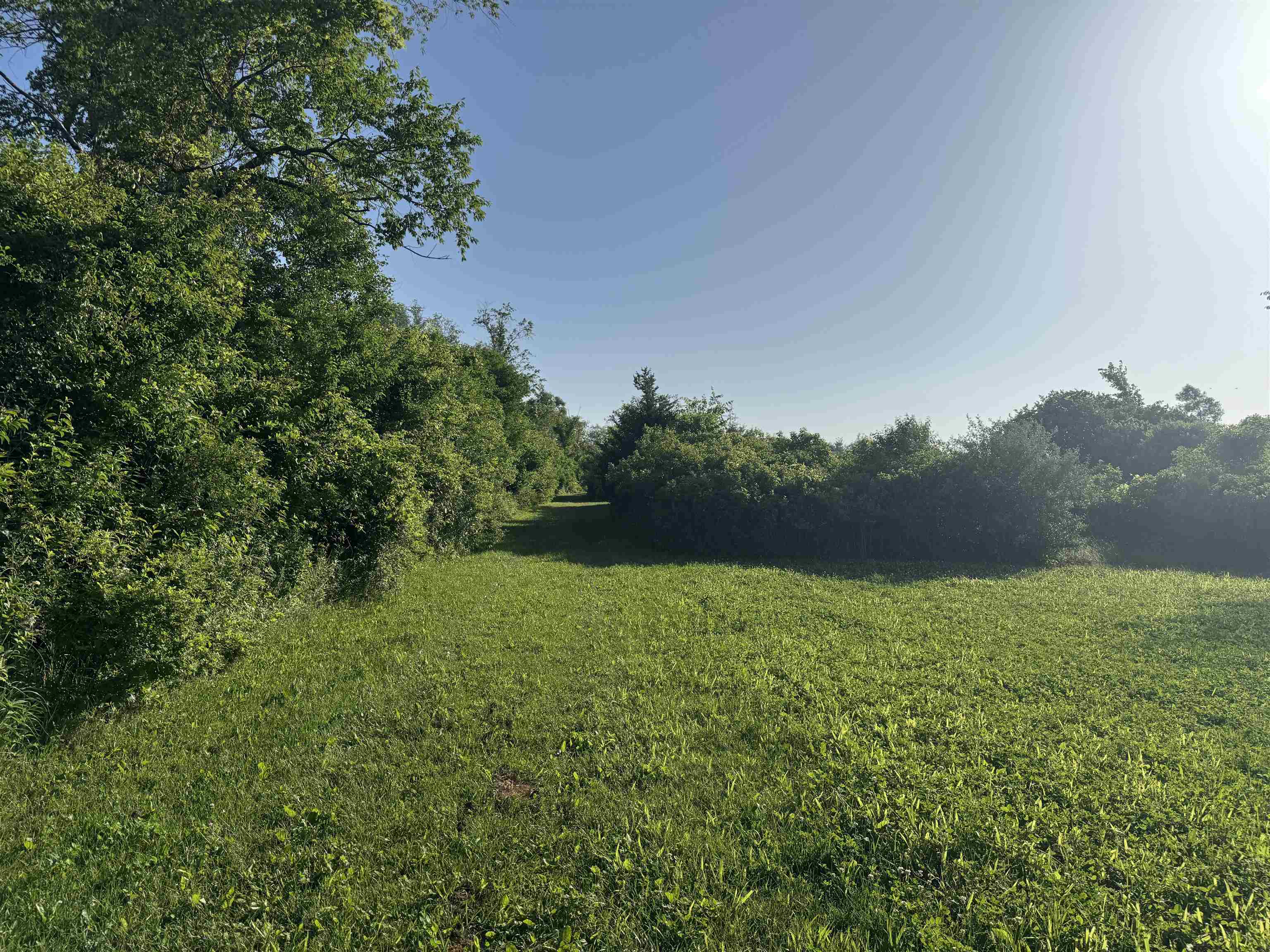 80 M/l Acres Jordan Road Waterloo, WI 53594 - Photo 60 of 85