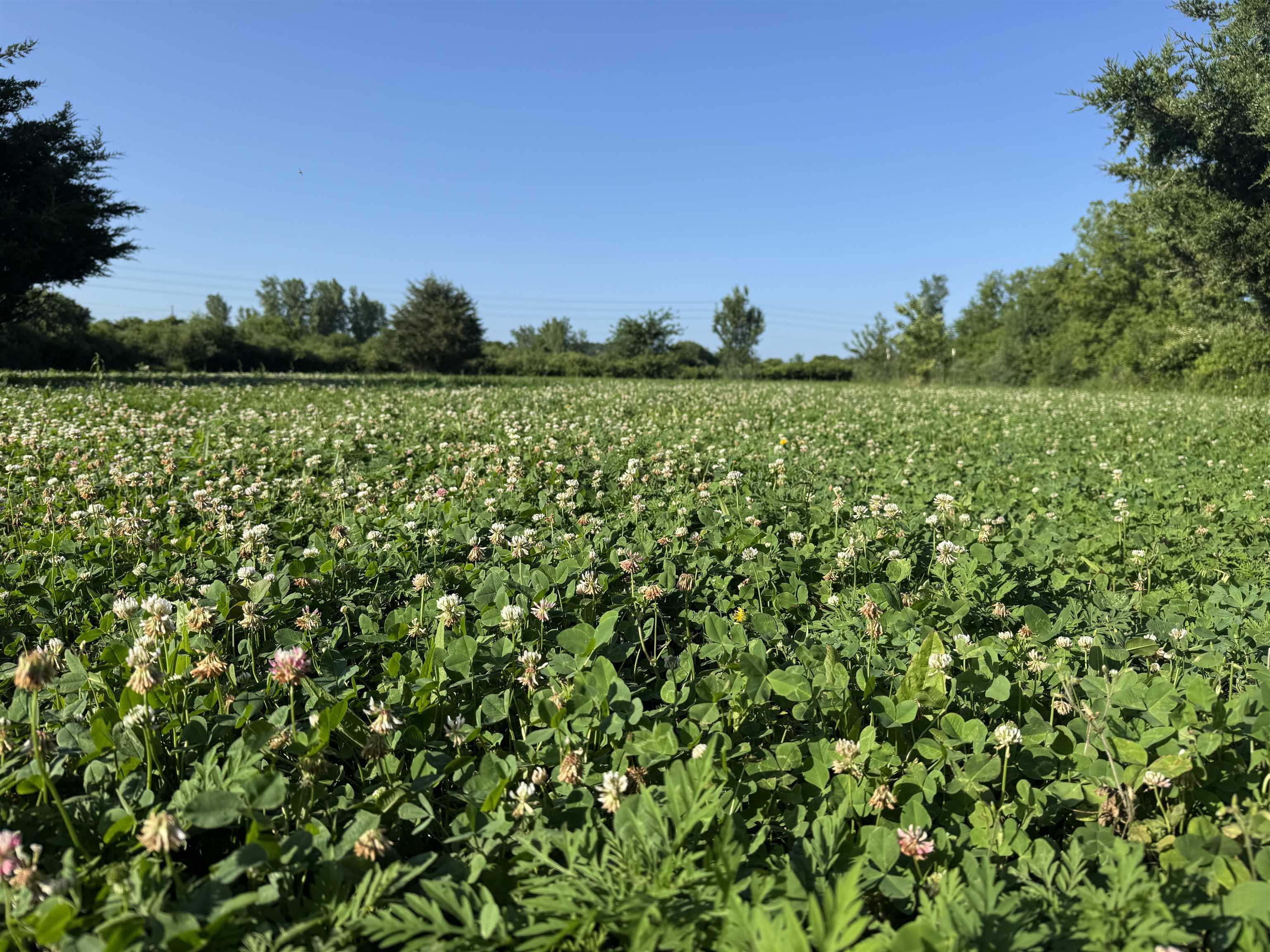 80 M/l Acres Jordan Road Waterloo, WI 53594 - Photo 61 of 85