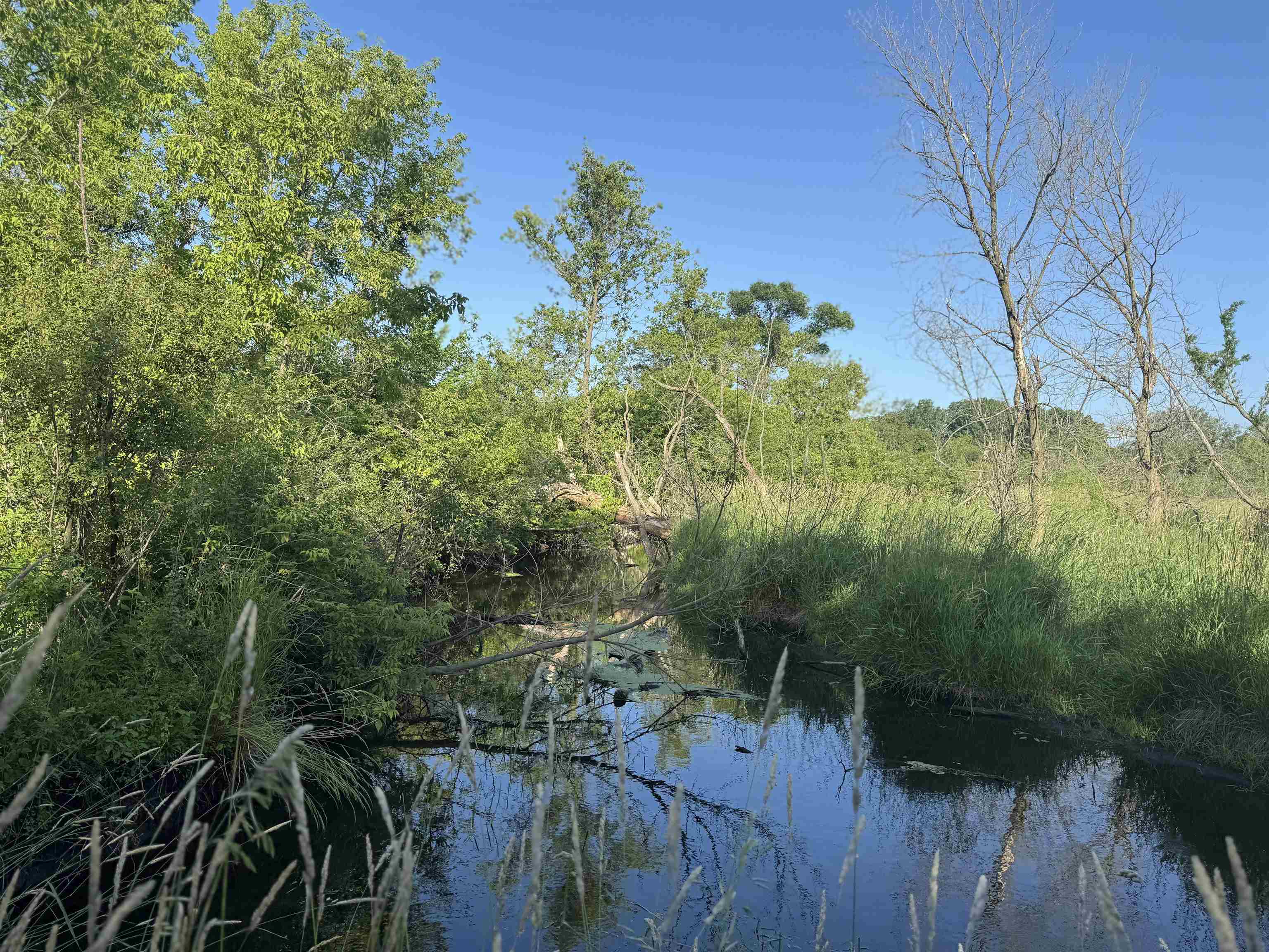 80 M/l Acres Jordan Road Waterloo, WI 53594 - Photo 64 of 85