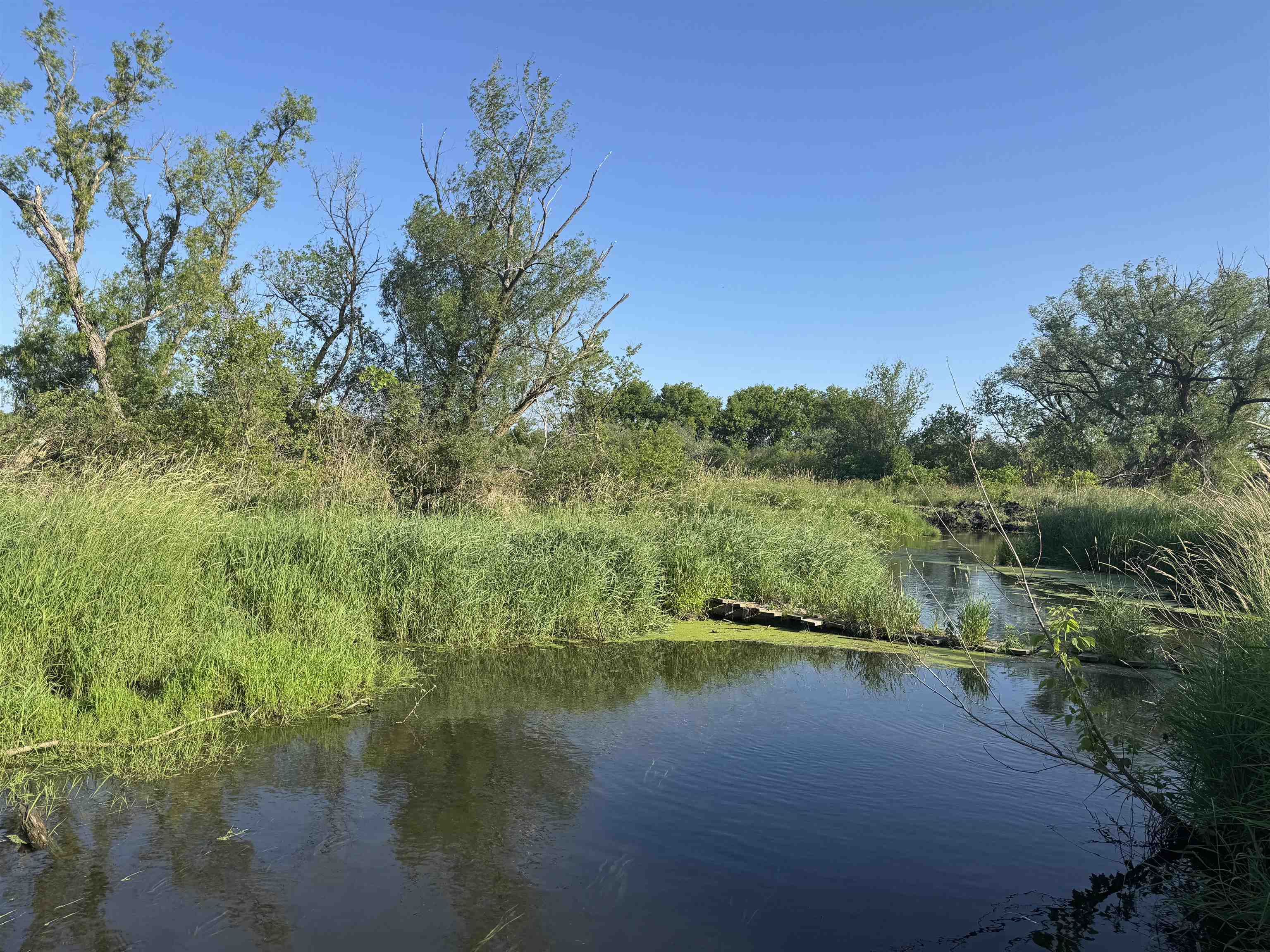80 M/l Acres Jordan Road Waterloo, WI 53594 - Photo 65 of 85