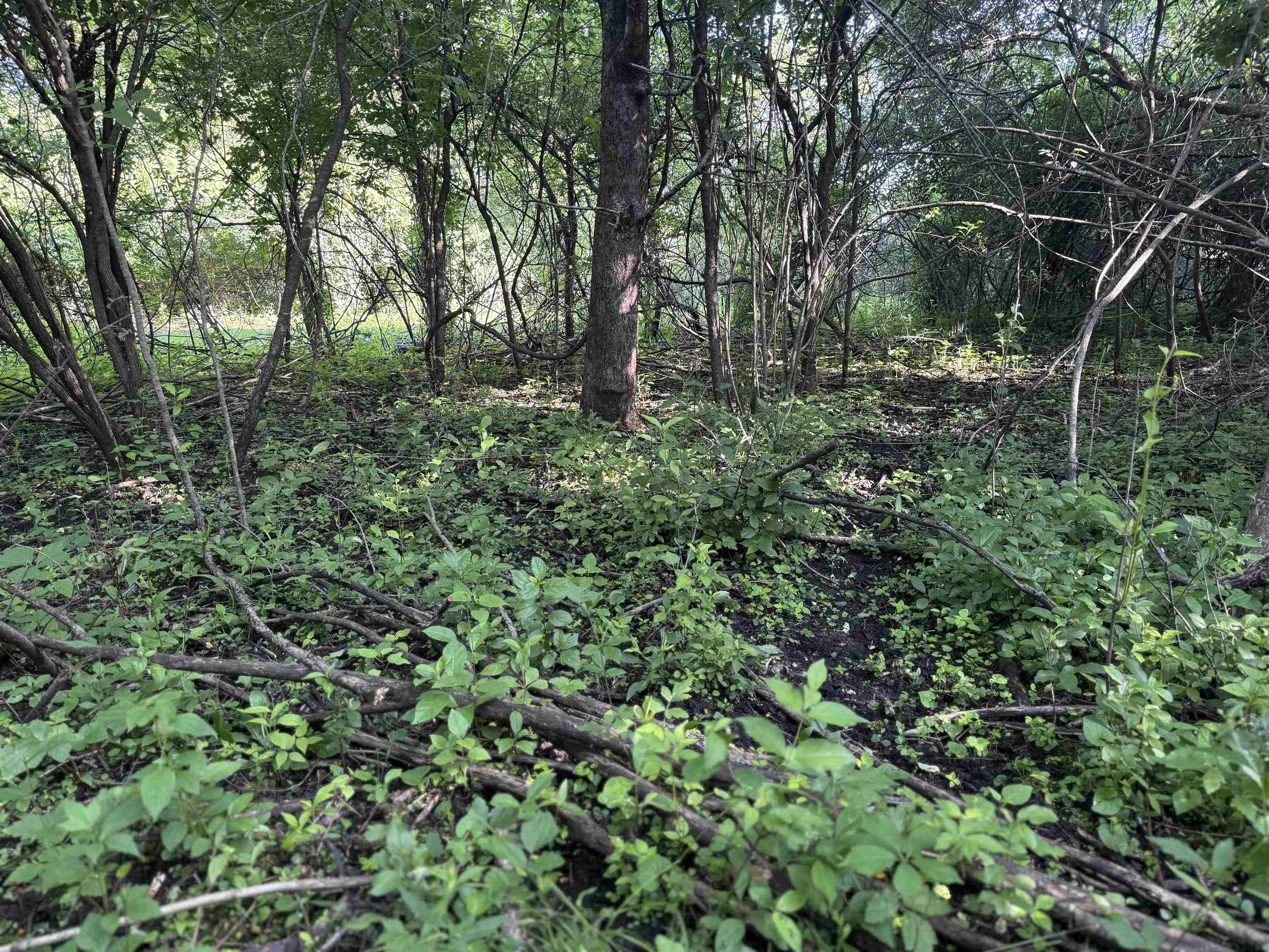 80 M/l Acres Jordan Road Waterloo, WI 53594 - Photo 69 of 85