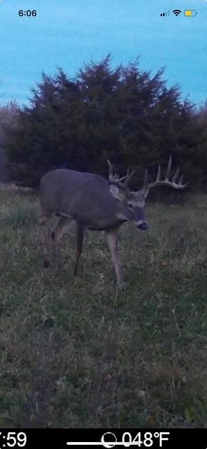 80 M/l Acres Jordan Road Waterloo, WI 53594 - Photo 72 of 85