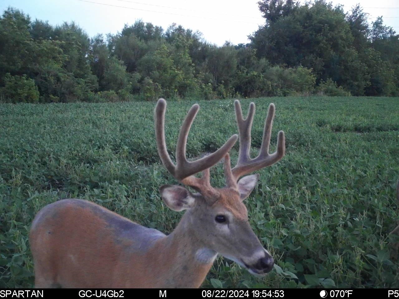 80 M/l Acres Jordan Road Waterloo, WI 53594 - Photo 74 of 85