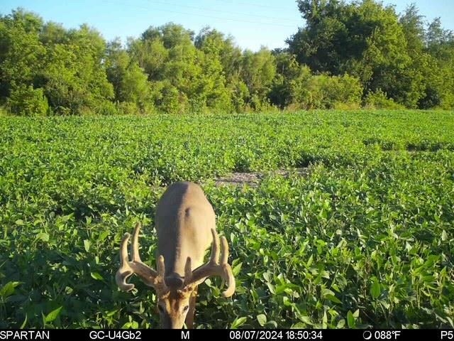 80 M/l Acres Jordan Road Waterloo, WI 53594 - Photo 75 of 85
