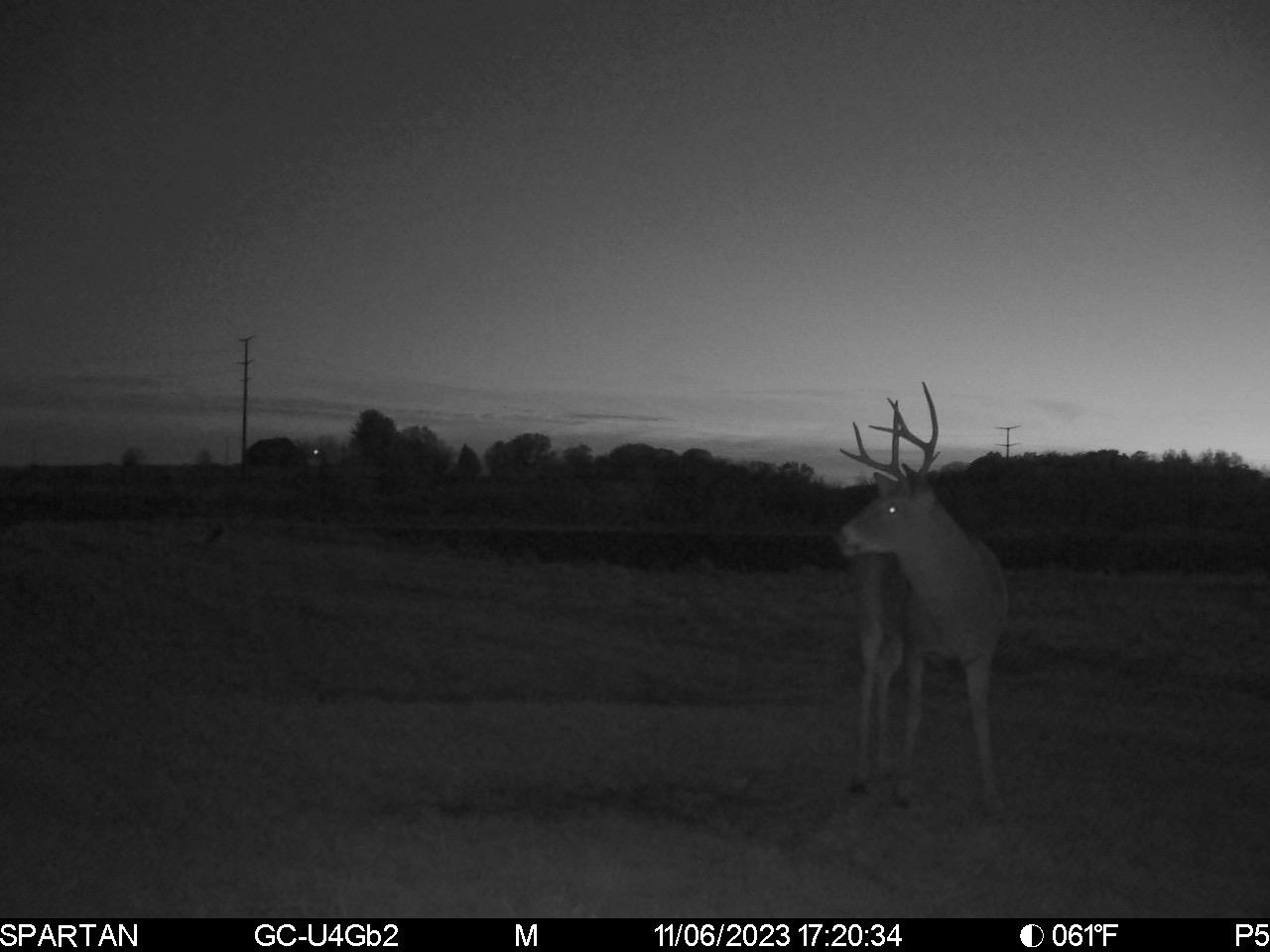 80 M/l Acres Jordan Road Waterloo, WI 53594 - Photo 77 of 85