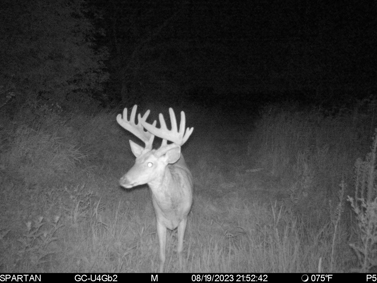 80 M/l Acres Jordan Road Waterloo, WI 53594 - Photo 78 of 85