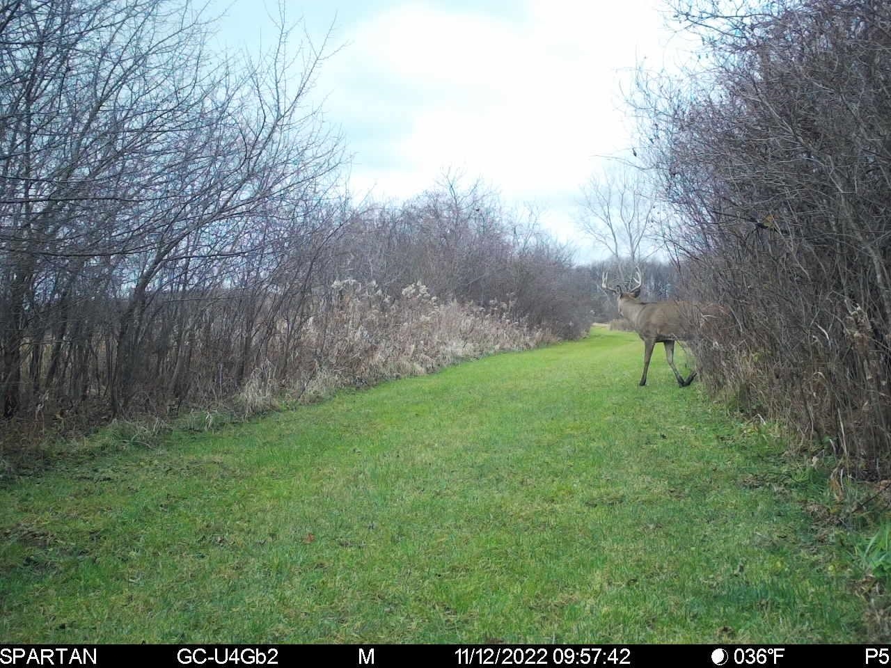 80 M/l Acres Jordan Road Waterloo, WI 53594 - Photo 80 of 85