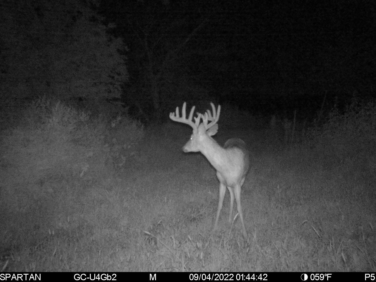 80 M/l Acres Jordan Road Waterloo, WI 53594 - Photo 81 of 85