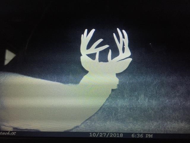 80 M/l Acres Jordan Road Waterloo, WI 53594 - Photo 84 of 85