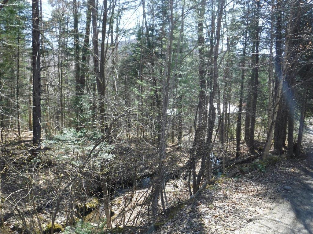 62 Byron Village Road Roxbury, ME 04275 - Photo 7 of 36 19 Lot