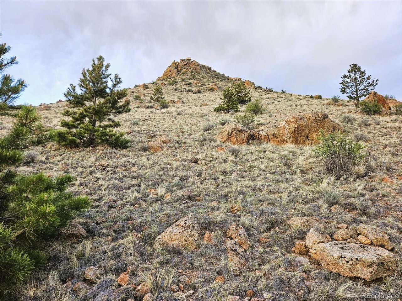 25468 Sioux Road Hartsel, CO 80449 - Photo 1 of 25