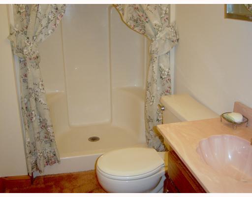 253 Adams Court Apollo, PA 15613 - Photo 12 of 15 Other.