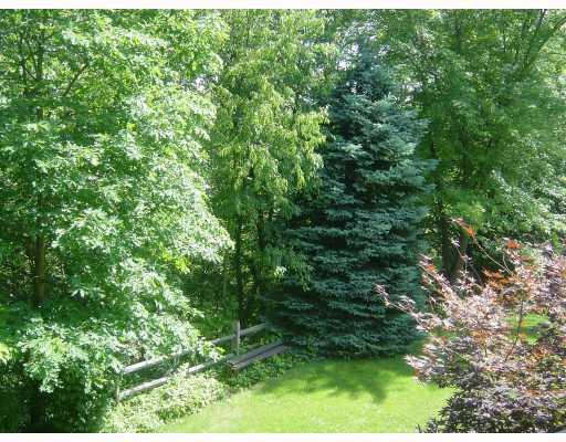 253 Adams Court Apollo, PA 15613 - Photo 15 of 15 Yard/Garden.