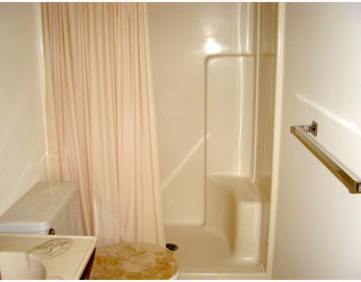 253 Adams Court Apollo, PA 15613 - Photo 9 of 15 Master Bath/Spa.