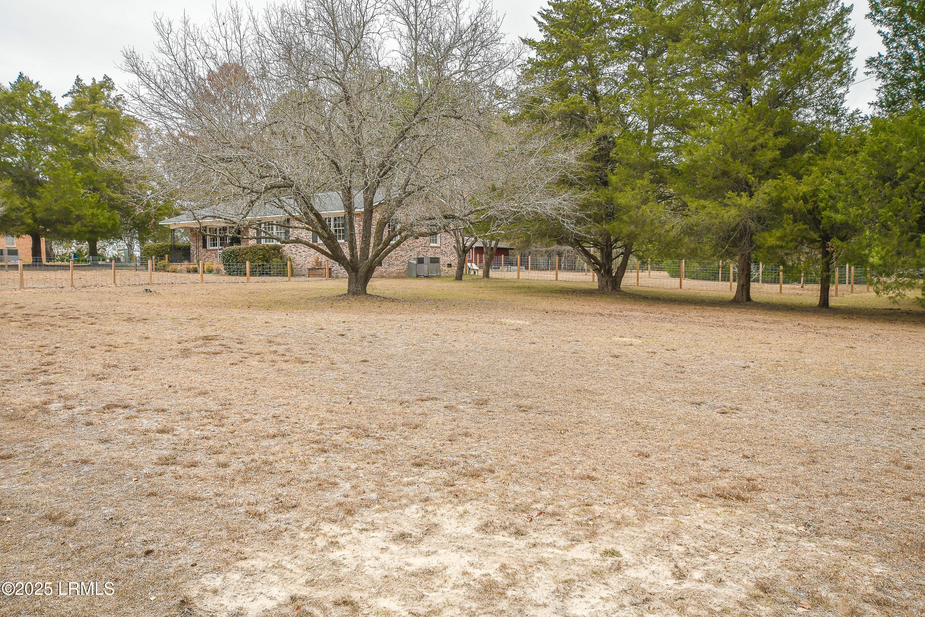 6984 Char-Augusta Road Bamberg, SC 29003 - Photo 43 of 43 DSC_3229