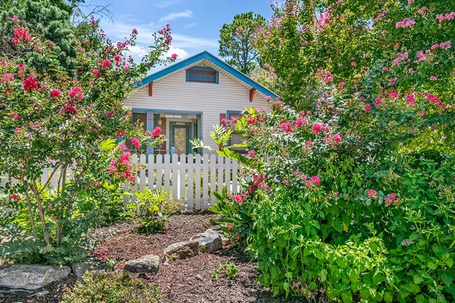a small garden covered with flower plants