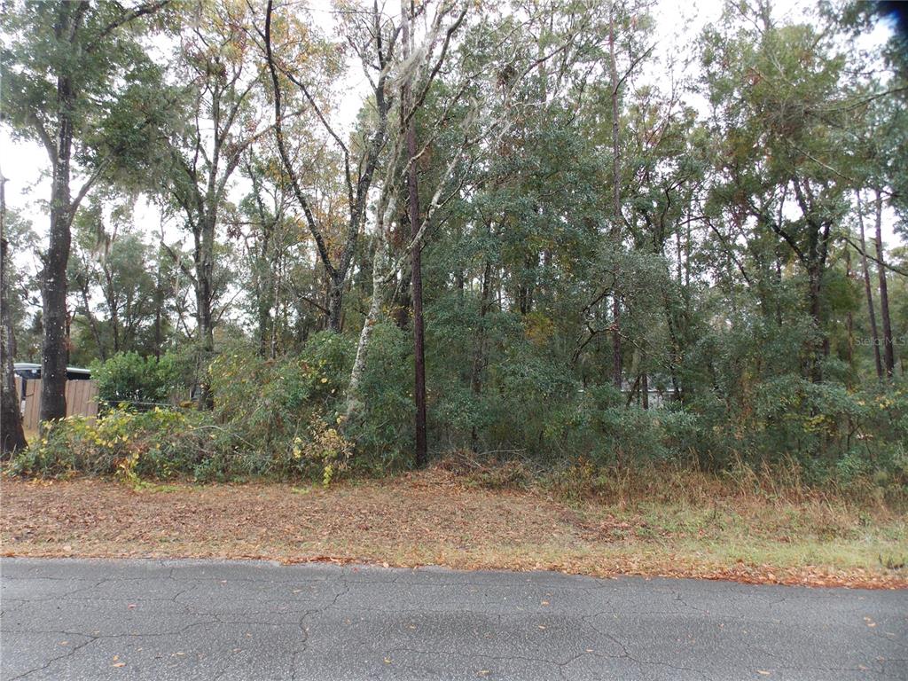 6660 East Haynes Lane Inverness, FL 34452 - Photo 2 of 3