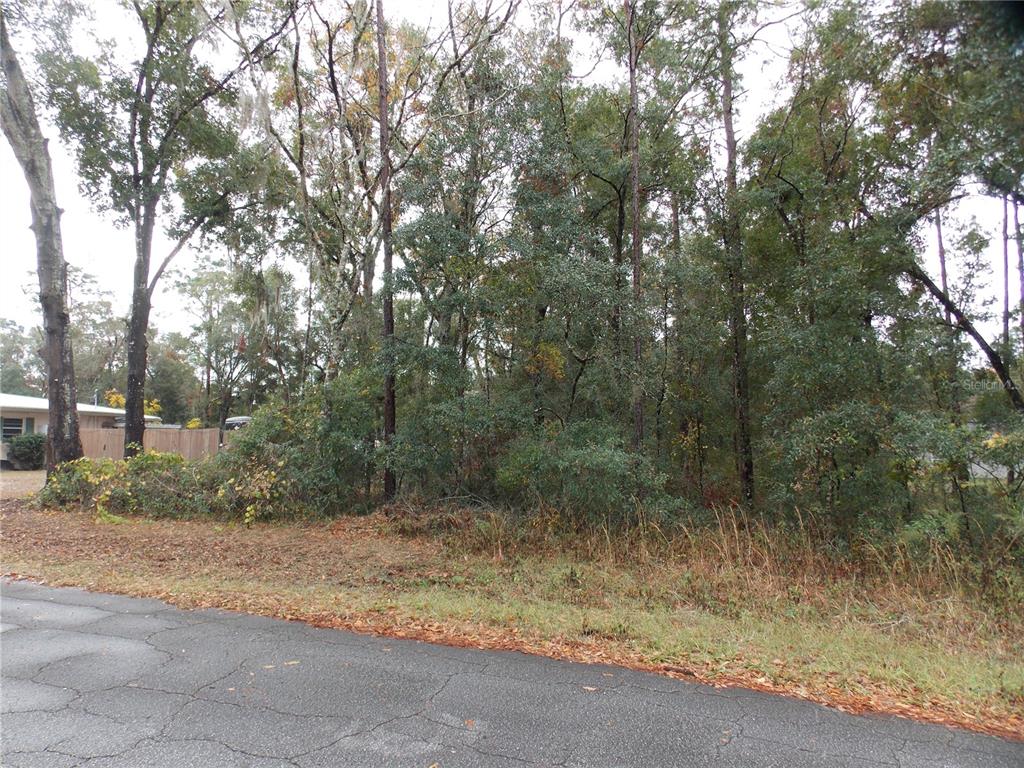 6660 East Haynes Lane Inverness, FL 34452 - Photo 3 of 3