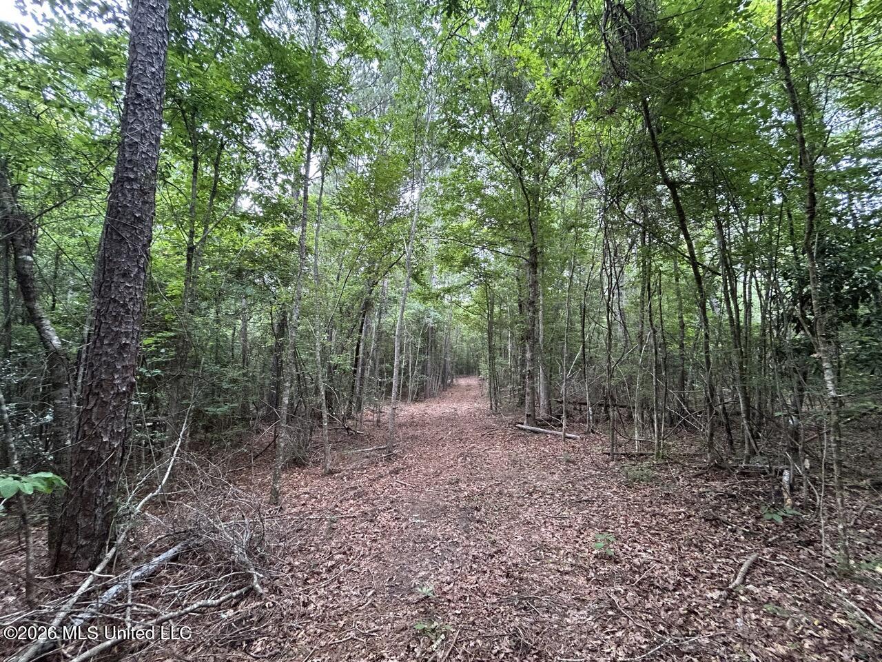 6643 Grange Hall Road Osyka, MS 39657 - Photo 16 of 39 IMG_4438 Large