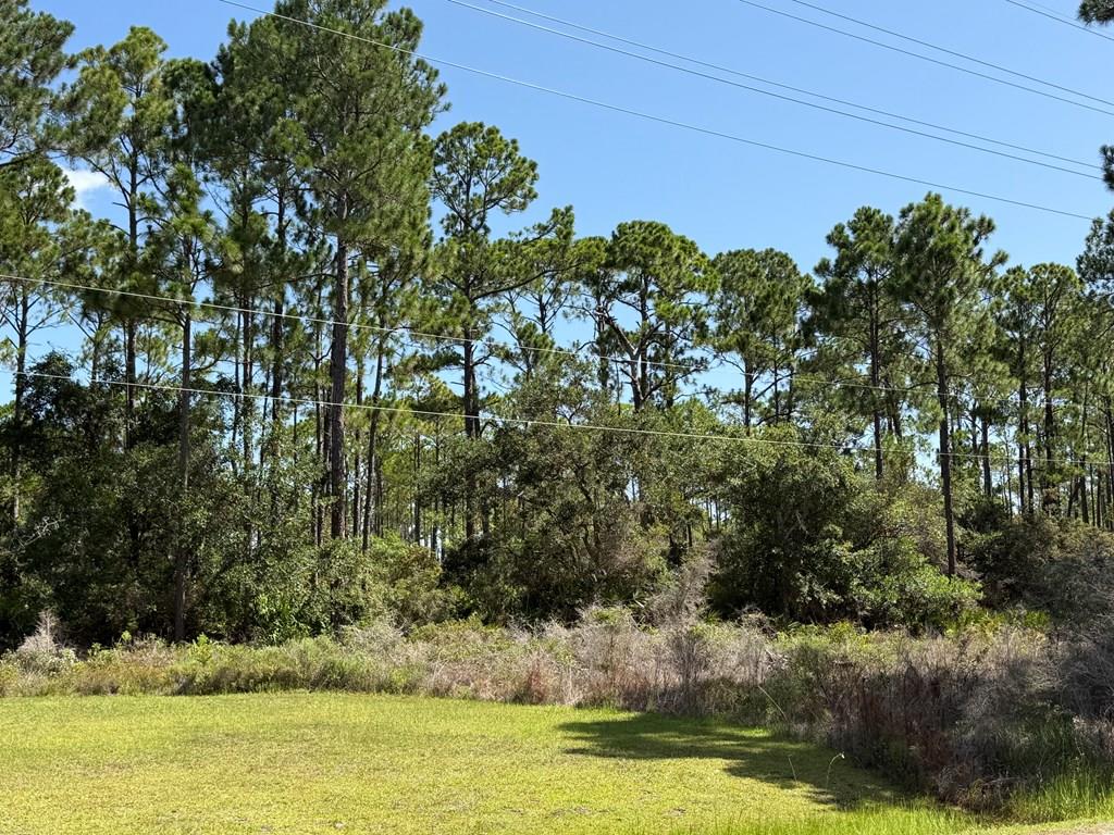 30-a Rd Cape Port St. Joe, FL 32456 - Photo 1 of 10 Gallery Image 1