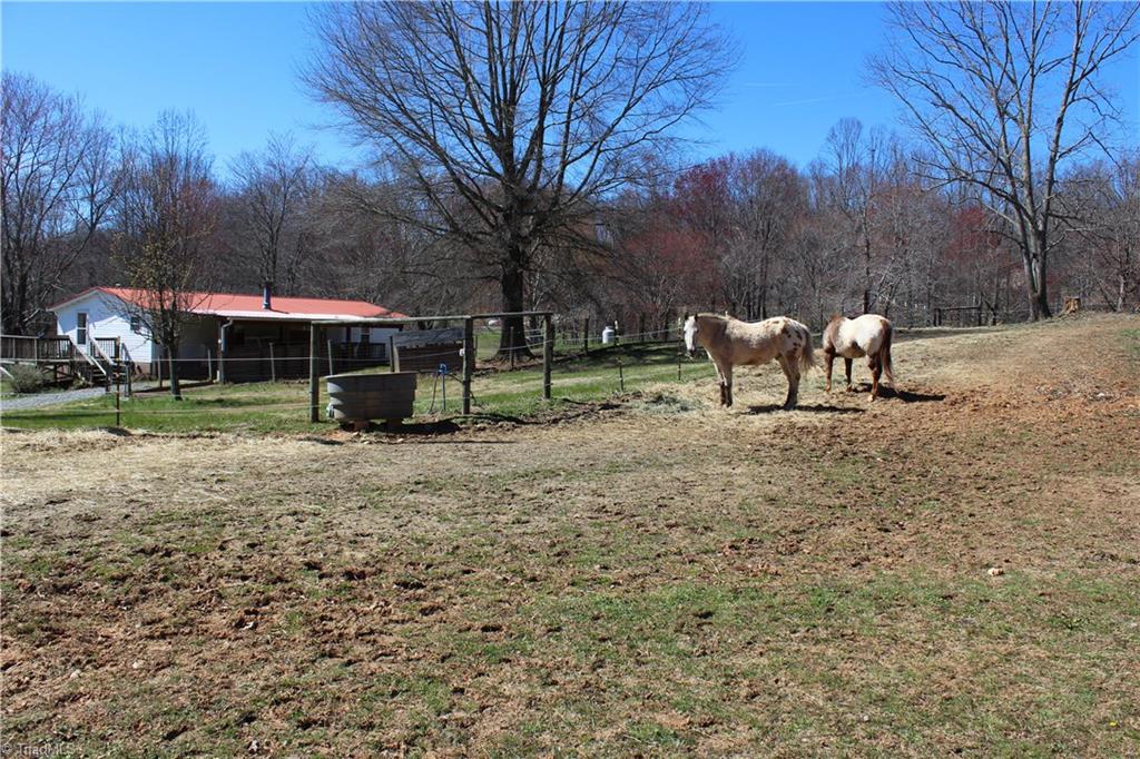 3880 Volunteer Road Pinnacle, NC 27043 - Photo 14 of 30
