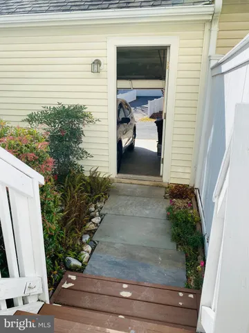a view of a park with large trees