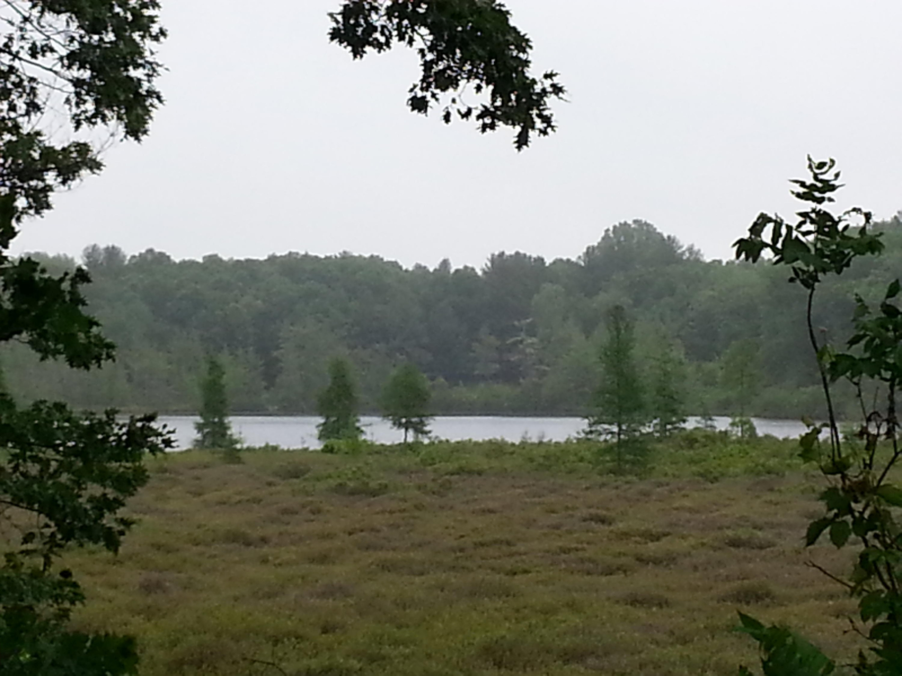3679 Johnson Road Gowen, MI 49326 - Photo 5 of 38 20150613_090235