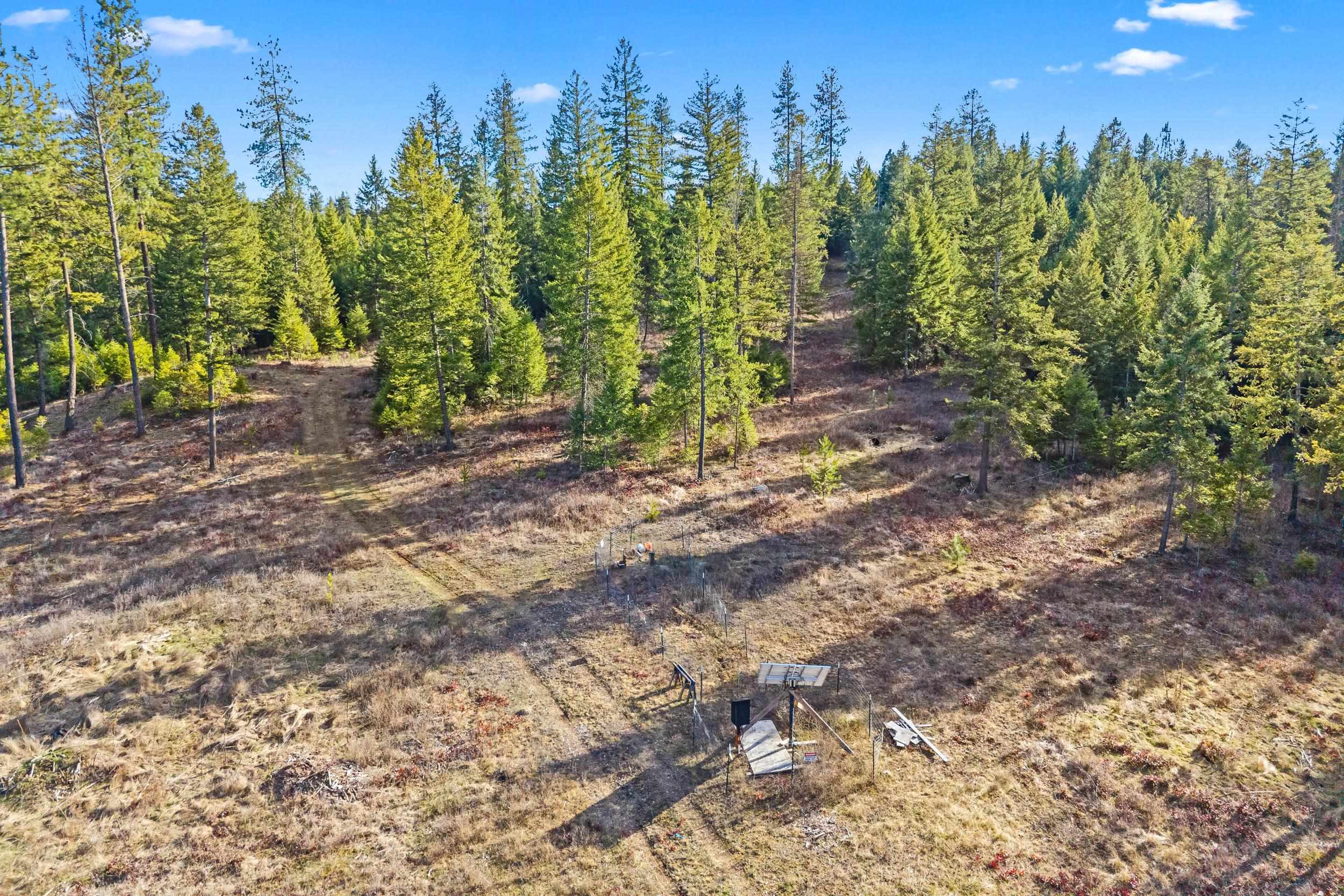 12818 East Bridges Road Elk, WA 99009 - Photo 14 of 25