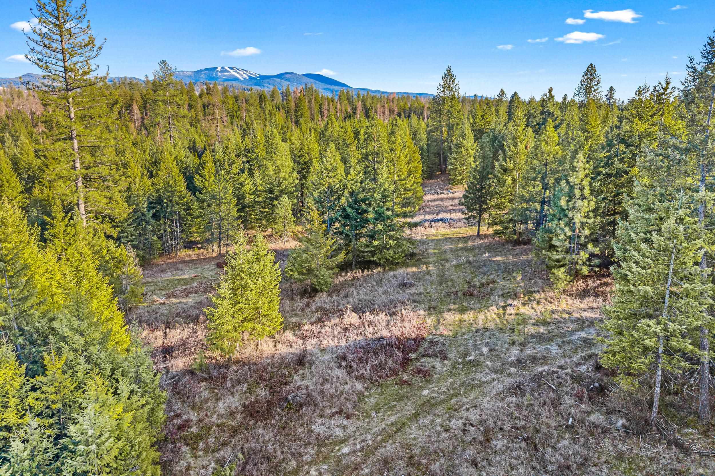 12818 East Bridges Road Elk, WA 99009 - Photo 15 of 25