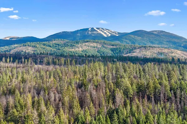 $199,000 | 12818 East Bridges Road, Elk, WA 99009