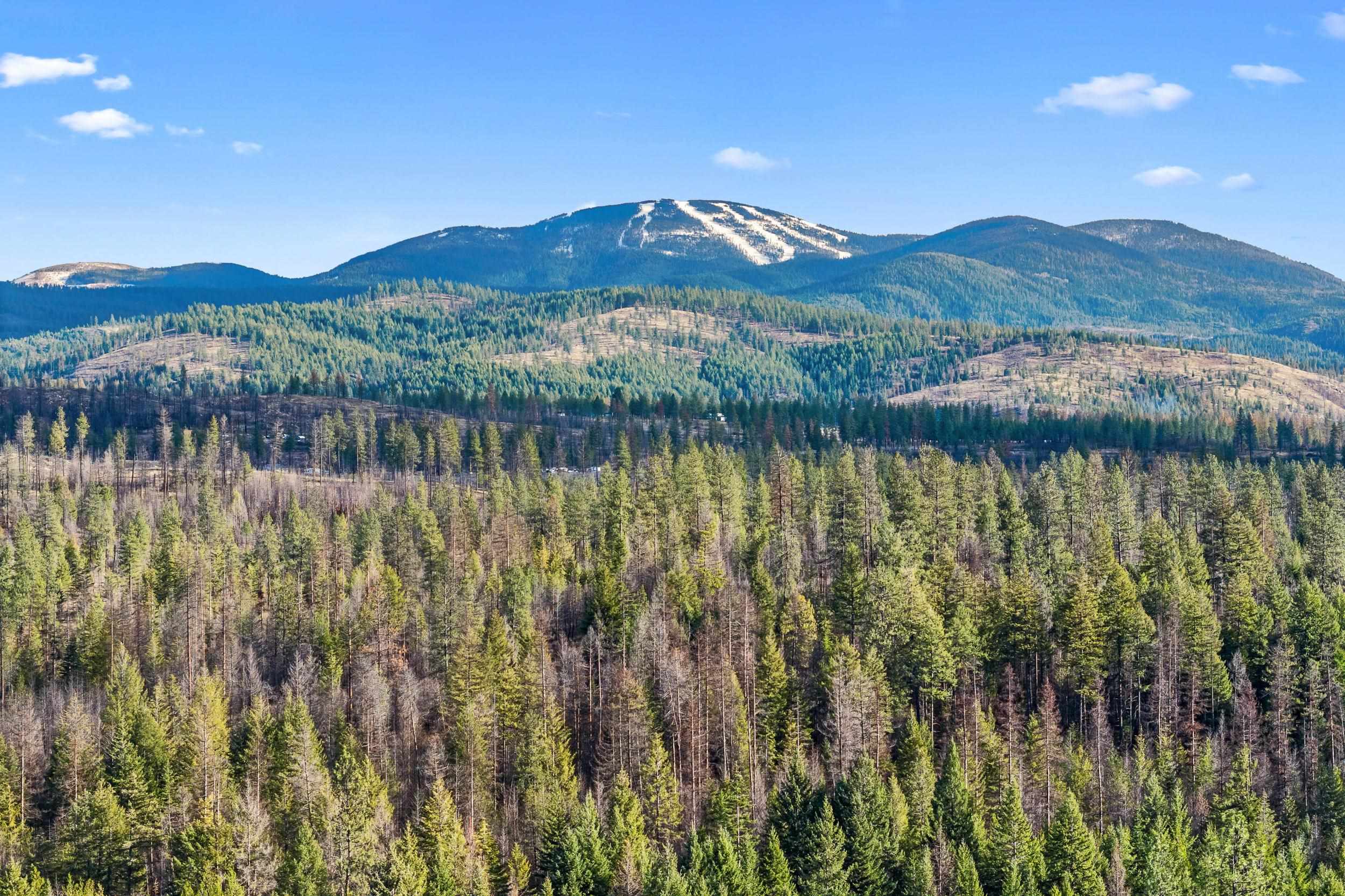 12818 East Bridges Road Elk, WA 99009 - Photo 16 of 25