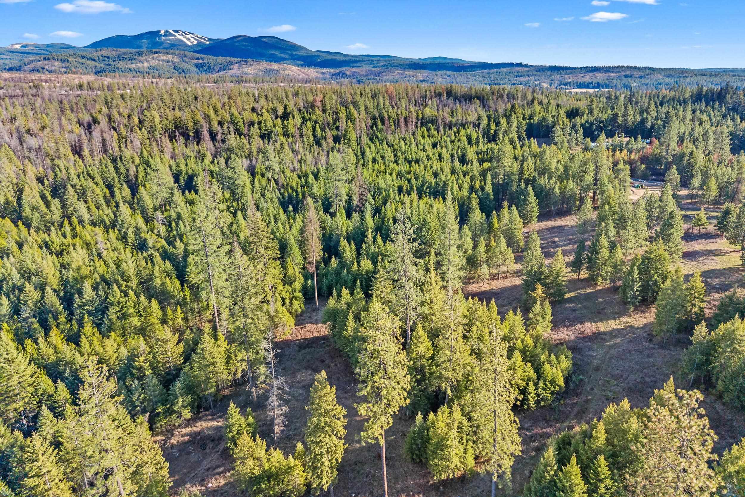 12818 East Bridges Road Elk, WA 99009 - Photo 18 of 25
