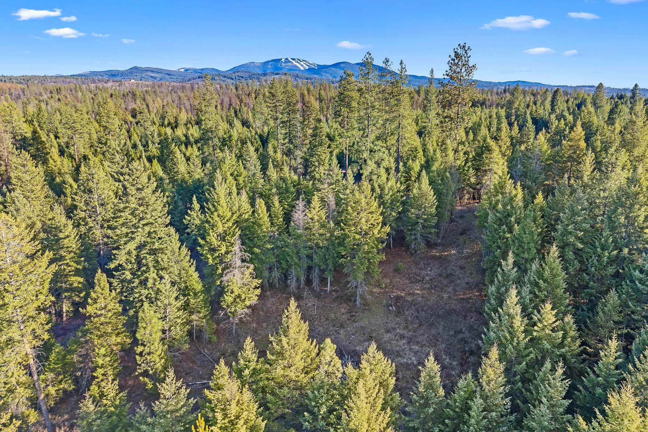 12818 East Bridges Road Elk, WA 99009 - Photo 20 of 25