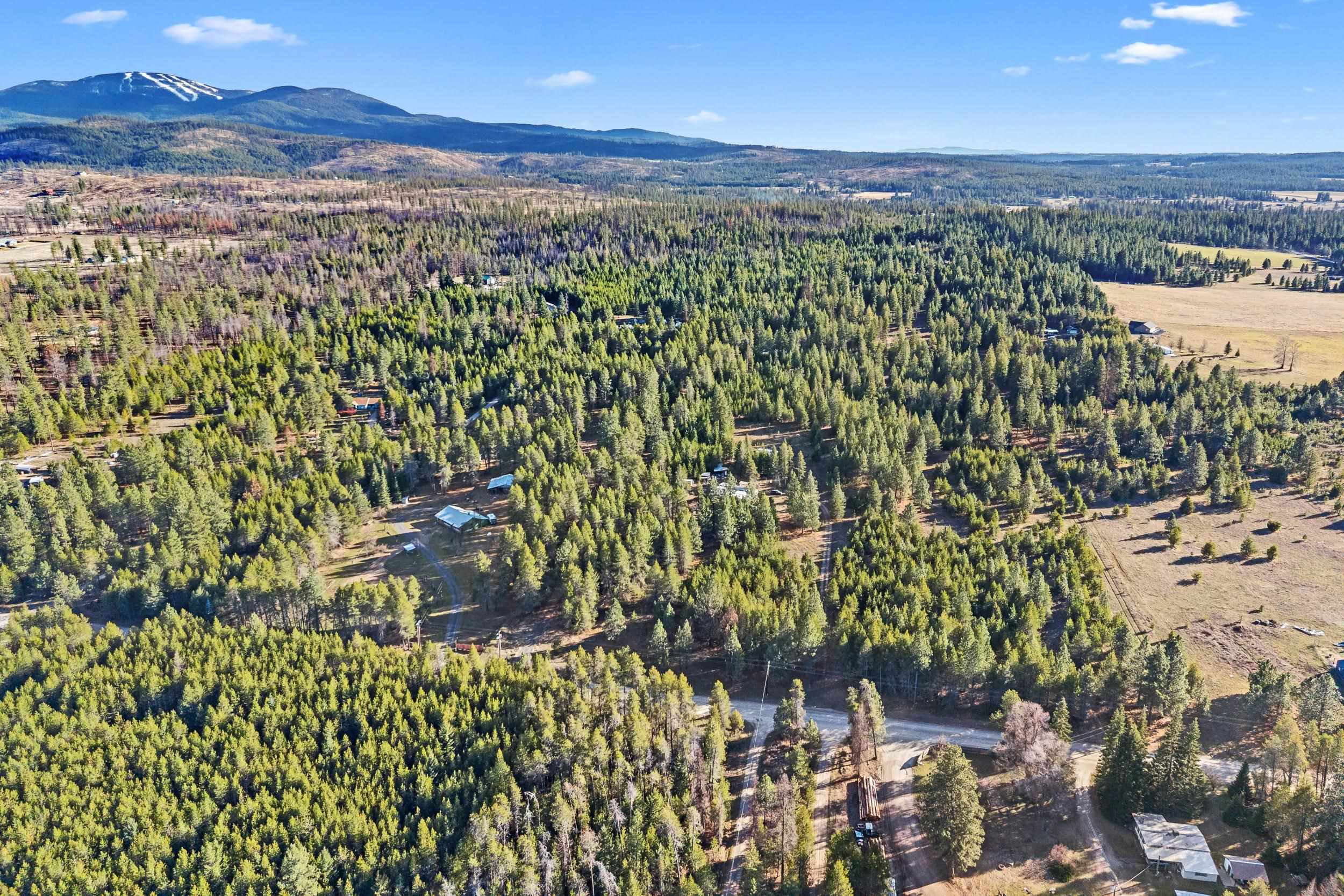 12818 East Bridges Road Elk, WA 99009 - Photo 23 of 25