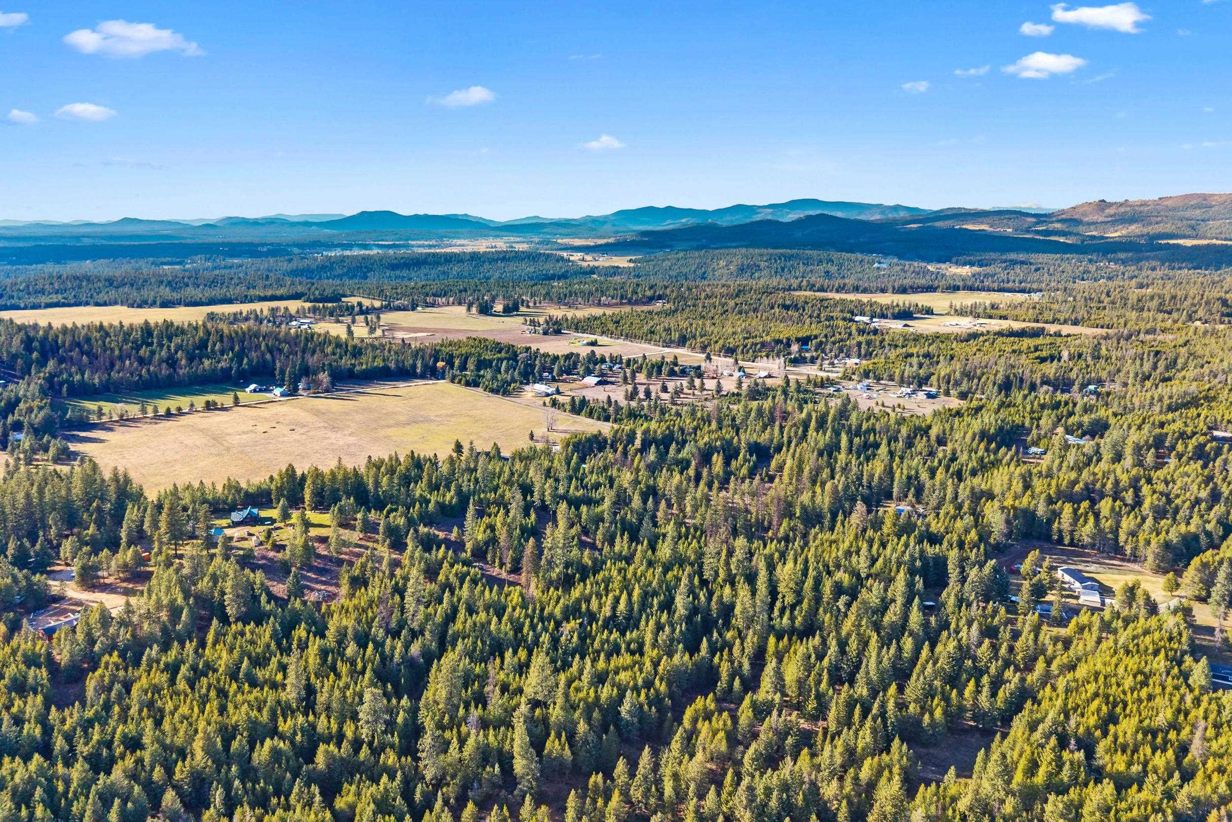 12818 East Bridges Road Elk, WA 99009 - Photo 3 of 25