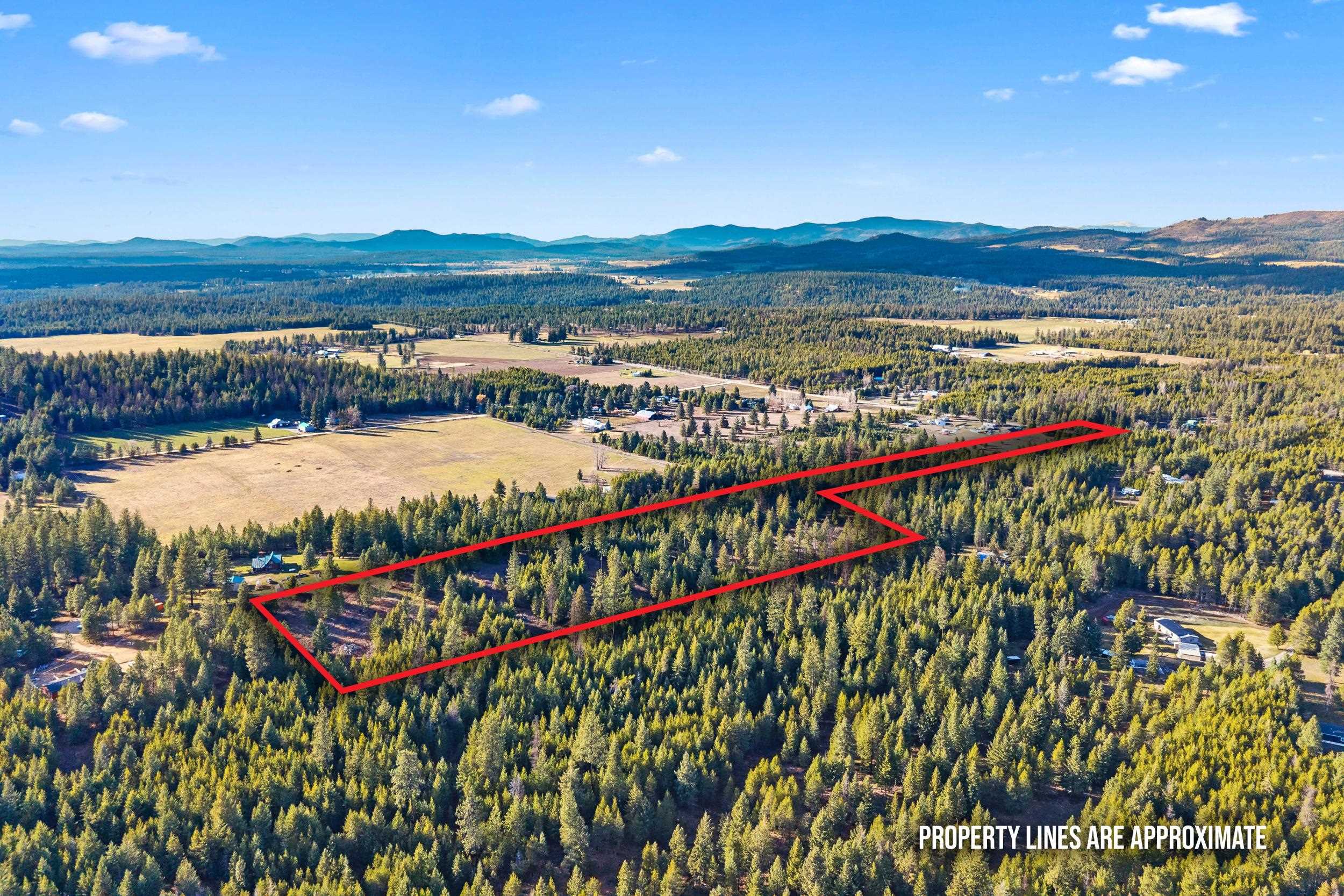 12818 East Bridges Road Elk, WA 99009 - Photo 4 of 25