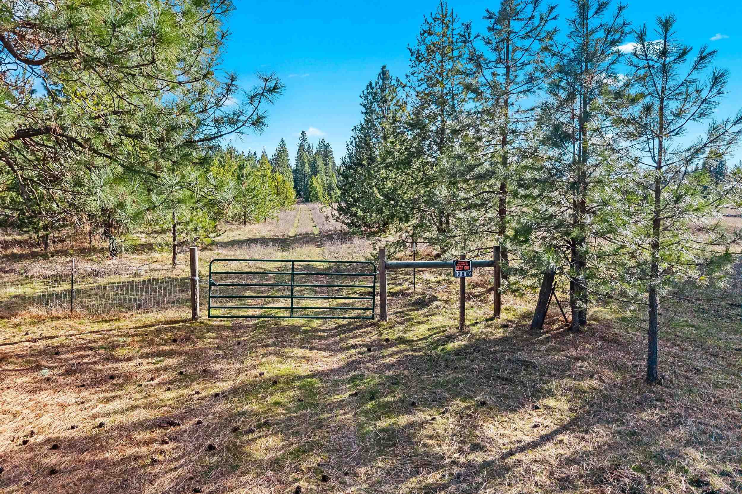 12818 East Bridges Road Elk, WA 99009 - Photo 5 of 25