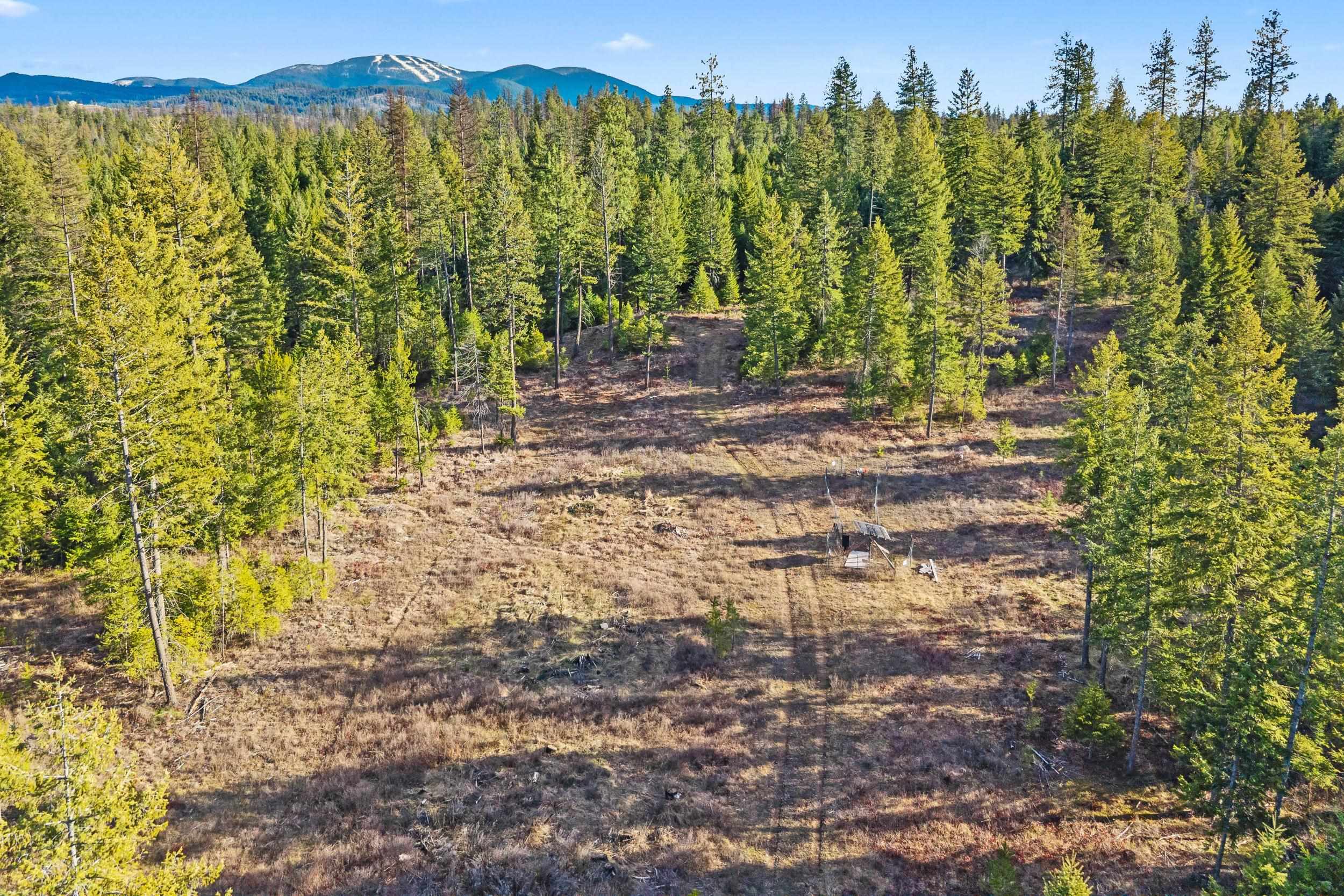 12818 East Bridges Road Elk, WA 99009 - Photo 6 of 25