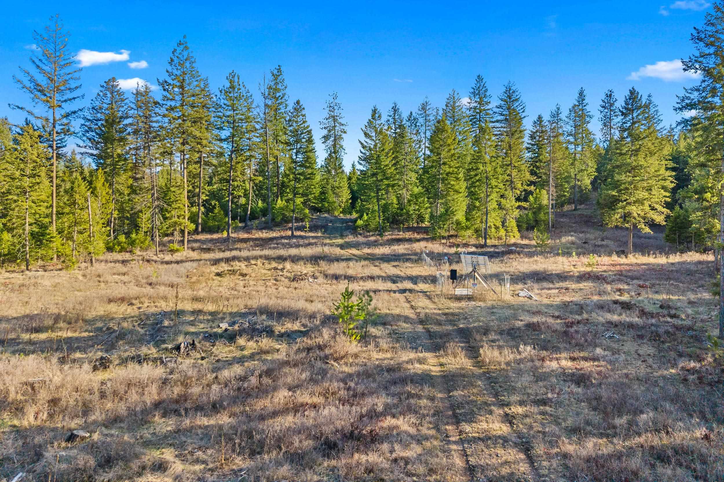 12818 East Bridges Road Elk, WA 99009 - Photo 7 of 25