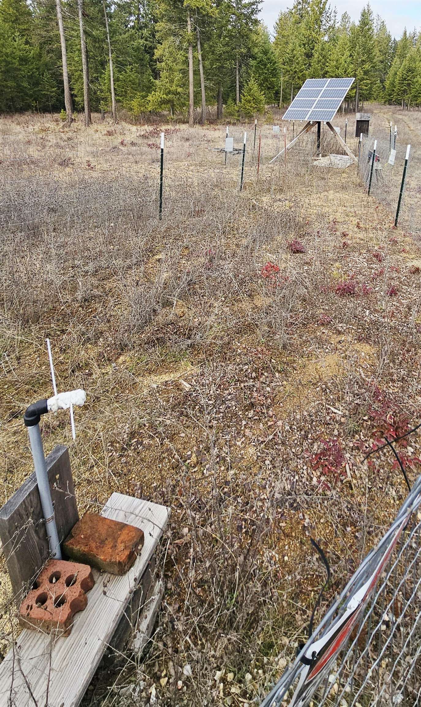 12818 East Bridges Road Elk, WA 99009 - Photo 10 of 25