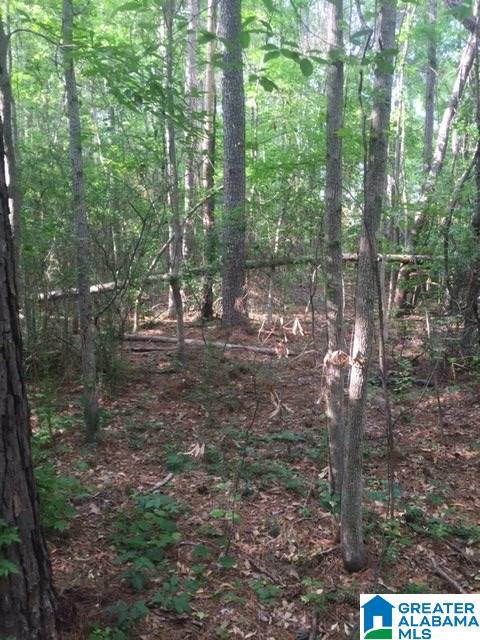 0 Mays Bend Road, Unit 26 Pell City, AL 35128 - Photo 8 of 16