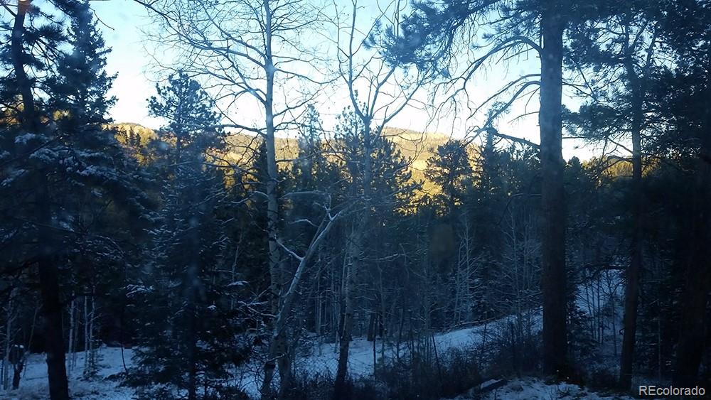 33968 Beverly Road Pine, CO 80470 - Photo 31 of 31 Gallery Image 31
