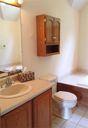 15 McGuire Road Sutton, MA 01590 - Photo 23 of 30 a bathroom with a toilet a sink and mirror